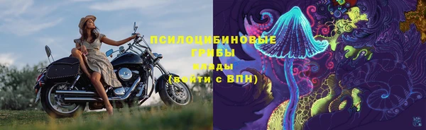 спайс Гусь-Хрустальный