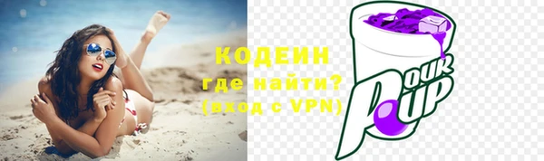 спайс Гусь-Хрустальный