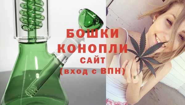 спайс Гусь-Хрустальный