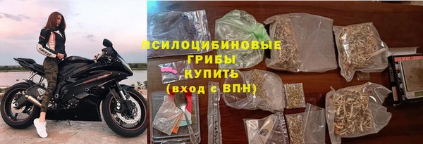 хмурый Гусиноозёрск