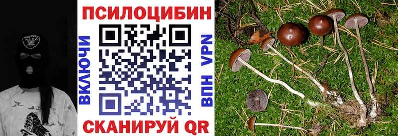 Галлюциногенные грибы мицелий  Купить где  Аша 